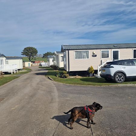 מלון Durdlee Door, D27, Main Rd, West Lulworth, Wareham Bh20 5Pu מראה חיצוני תמונה