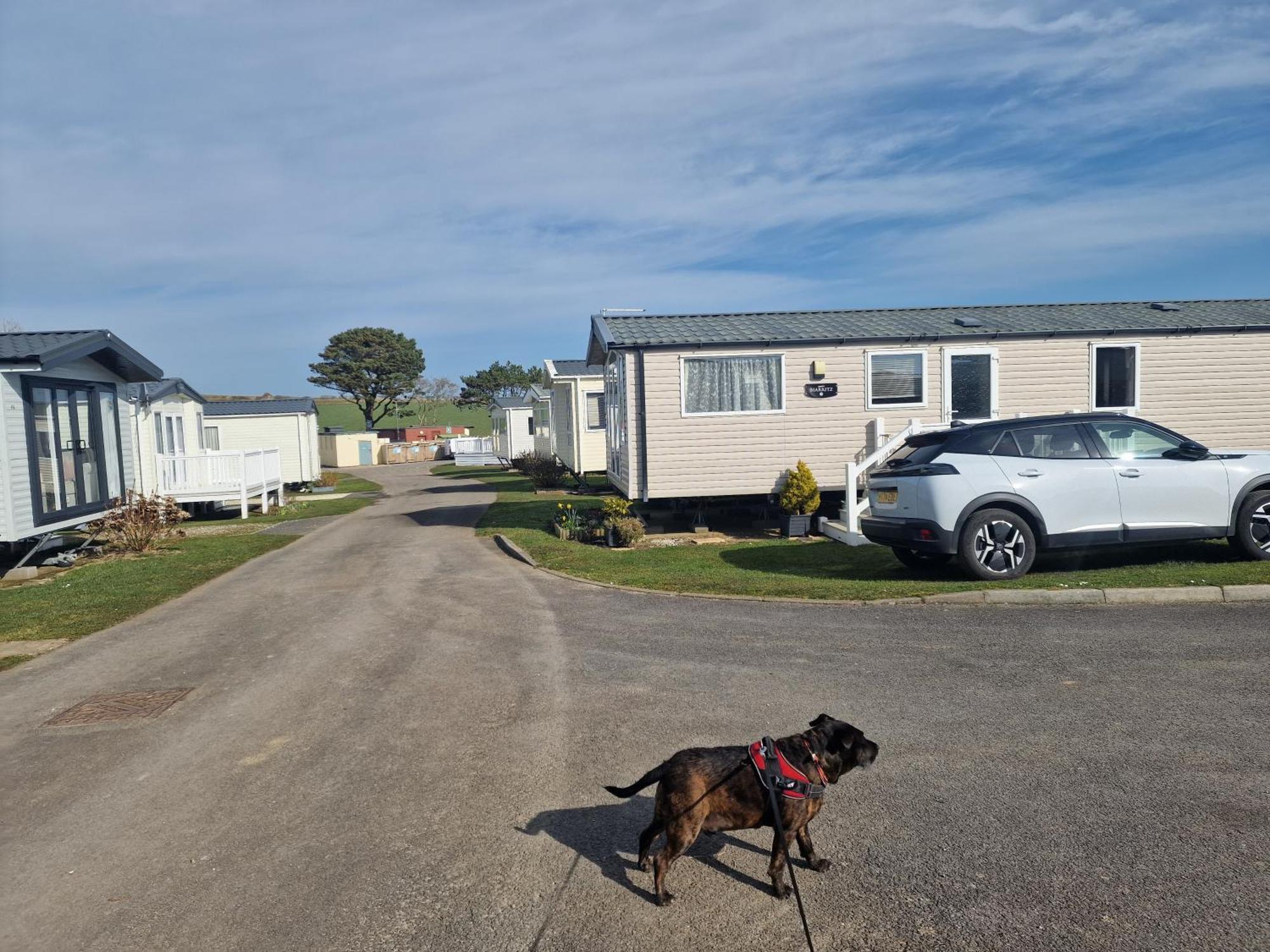 מלון Durdlee Door, D27, Main Rd, West Lulworth, Wareham Bh20 5Pu מראה חיצוני תמונה